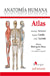 ATLAS ANATOMIA HUMANA