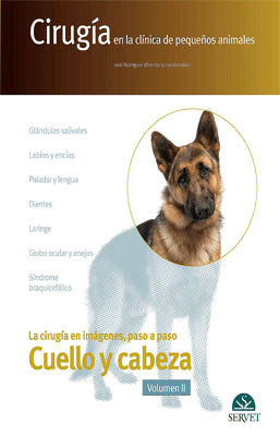 LA CIRUGIA EN IMAGENES, PASO A PASO CUELLO Y CABEZA VOL. II