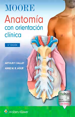 MOORE ANATOMIA CON ORIENTACION CLINICA 9ED