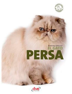 EL GATO PERSA