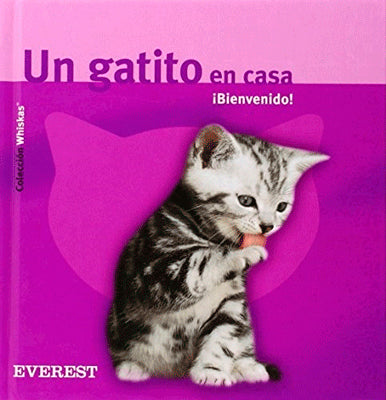 GATITO EN CASA BIENVENIDO