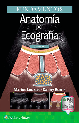 FUNDAMENTOS ANATOMIA POR ECOGRAFIA 2ED