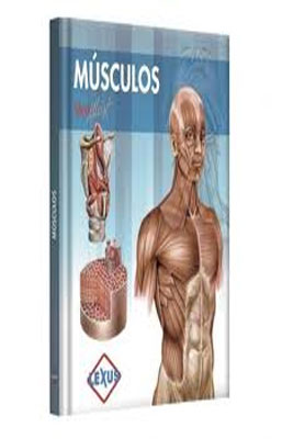 MUSCULOS MEDILLUST