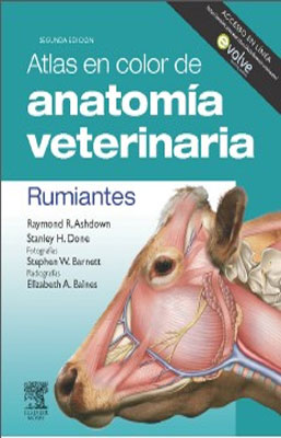 ATLAS EN COLOR DE ANATOMIA VETERINARIA RUMIANTES