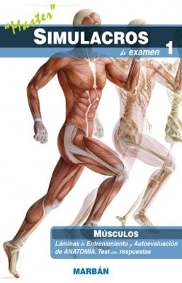 SIMULACROS DE EXAMEN 1 MUSCULOS