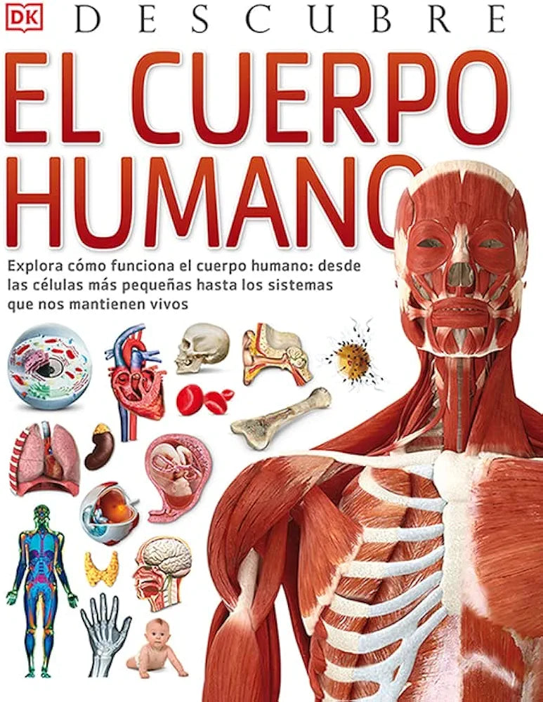 DESCUBRE EL CUERPO HUMANO