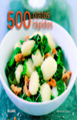 500 PLATOS RAPIDOS