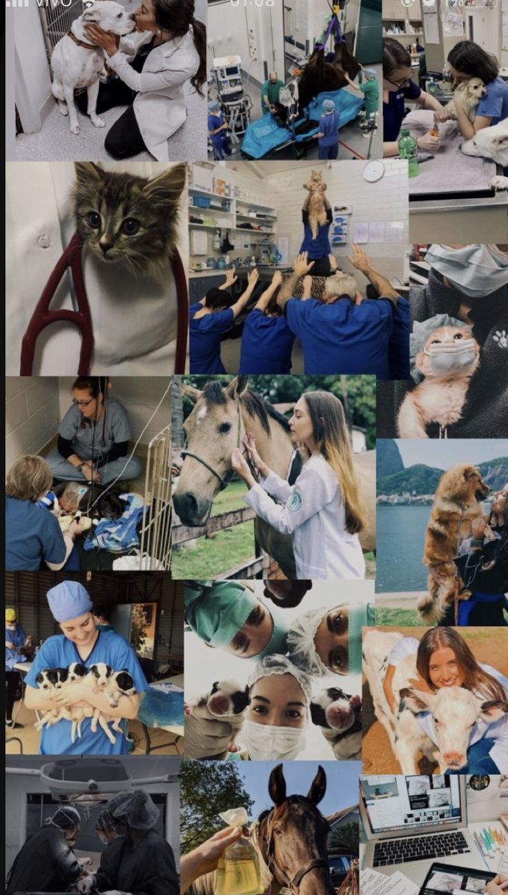 VETERINARIA