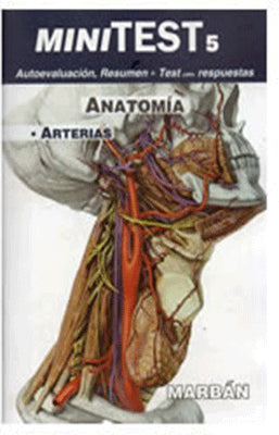 MINITEST 5 ANATOMIA ARTERIAS