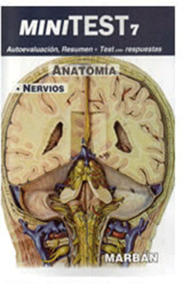 MINITEST 7 ANATOMIA NERVIOS