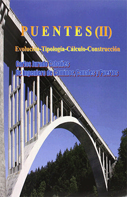 PUENTES (3T) EVOLUCION TIPOLOGIA CALCULO CONSTRUCCION