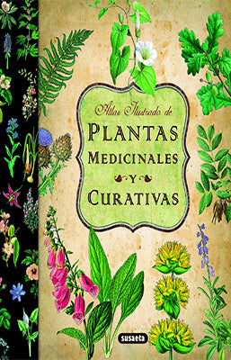 ATLAS ILUSTRADO DE PLANTAS MEDICINALES Y CURATIVAS
