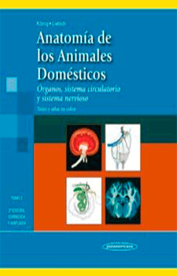 ANATOMIA DE LOS ANIMALES DOMESTICOS TOMO 2 ORGANOS SISTEMA CIRCULATORIO Y SISTEMA NERVIOSO  2ED