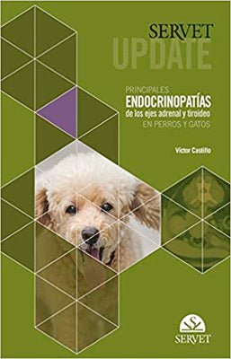 SERVET UPDATE PRINCIPALES ENDOCRINOPATIAS