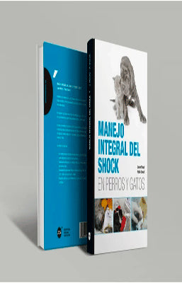 MANEJO INTEGRAL DEL SHOCK