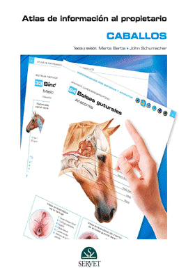 ATLAS DE INFORMACION AL PROPIETARIO CABALLOS
