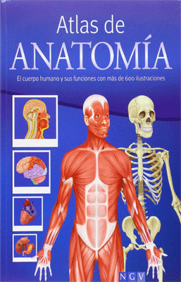 ATLAS DEL CUERPO HUMANO