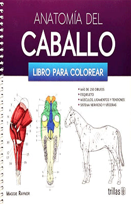 ANATOMIA DEL CABALLO. LIBRO PARA COLOREAR