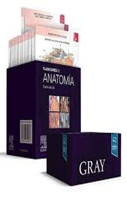 GRAY FLASHCARDS DE ANATOMIA 4ED
