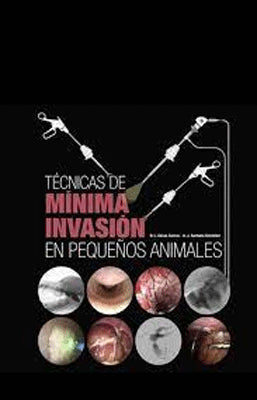 TECNICAS DE MINIMA INVACION EN PEQUEÑOS ANIMALES