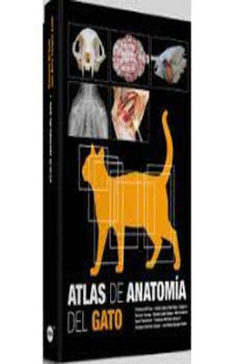 ATLAS DE ANATOMIA DEL GATO