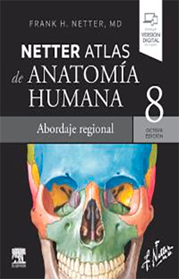 NETTER ATLAS DE ANATOMIA HUMANA ABORDAJE REGIONAL 8ED