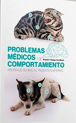 PROBLEMAS MEDICOS Y DE COMPORTAMIENTO ABORDAJE GLOBAL AL PACIENTE ENFERMO
