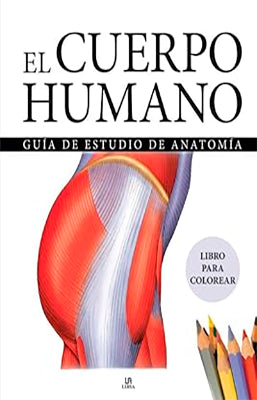 EL CUERPO HUMANO