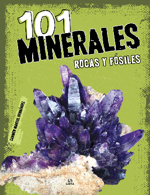 101 MINERALES ROCAS Y FOSILES