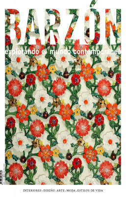 REVISTA BARZON # 19