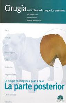 LA CIRUGIA EN IMAGENES PASO A PASO LA PARTE POSTERIOR