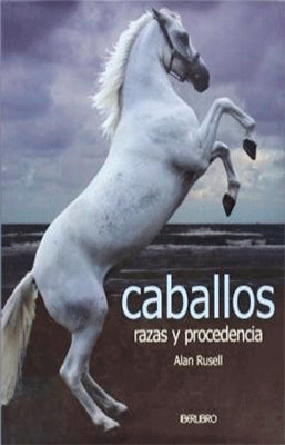 CABALLOS RAZAS Y PROCEDENCIA