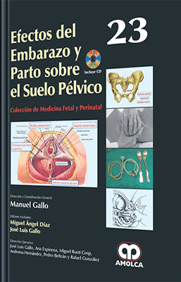 EFECTOS DEL EMBARAZO Y PARTO SOBRE EL SUELO PELVICO