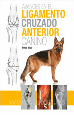 AVANCES EN EL LIGAMENTO CRUZADO ANTERIOR