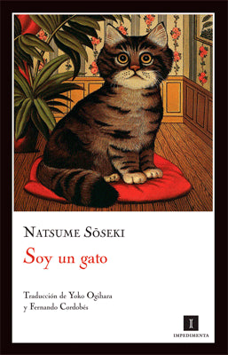 SOY UN GATO