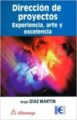 DIRECCION DE PROYECTOS EXPERIENCIA ARTE Y EXCELENCIA
